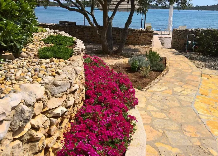 Sandra I Davor Lonic